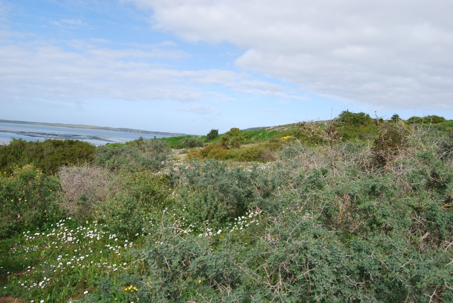 0 Bedroom Property for Sale in Shark Bay Estate Western Cape
